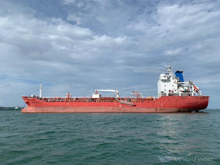 MT WEDA PIONEER photo