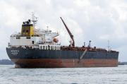 Ship TOPZERA (Tug) Registered in Brazil - Vessel details, Current position  and Voyage information - MMSI 710739406