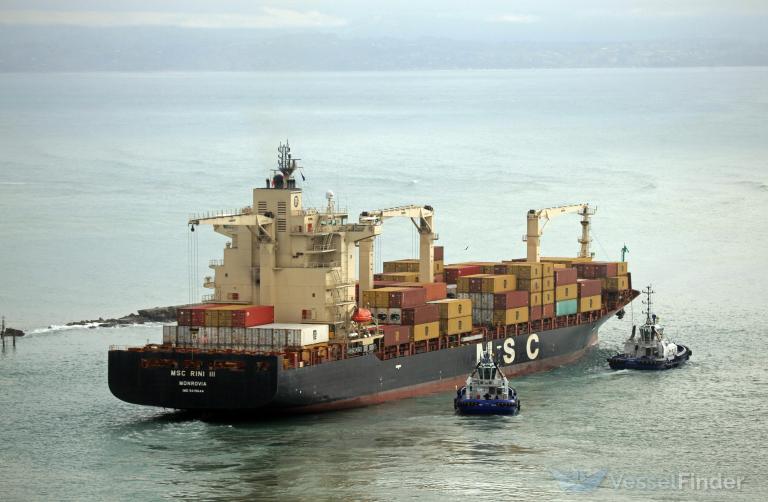 MSC RINI III photo