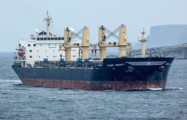 WOOYANG HERMES photo