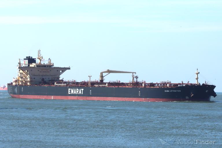 DUBAI ATTRACTION photo