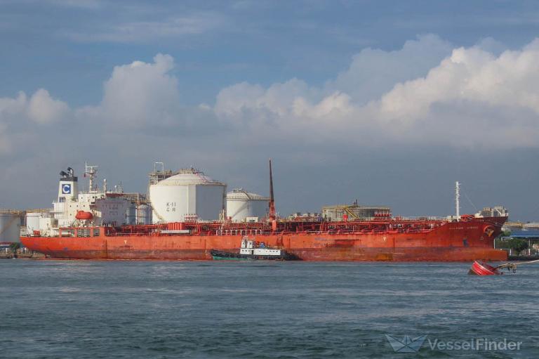 EASTERLY BIRDIE photo