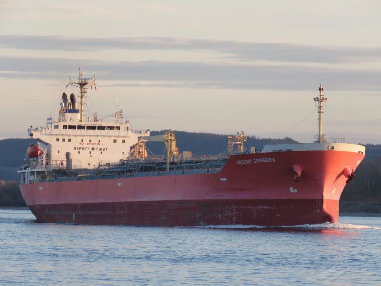 ARGENT GERBERA photo