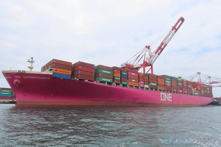 ONE MAGNIFICENCE photo