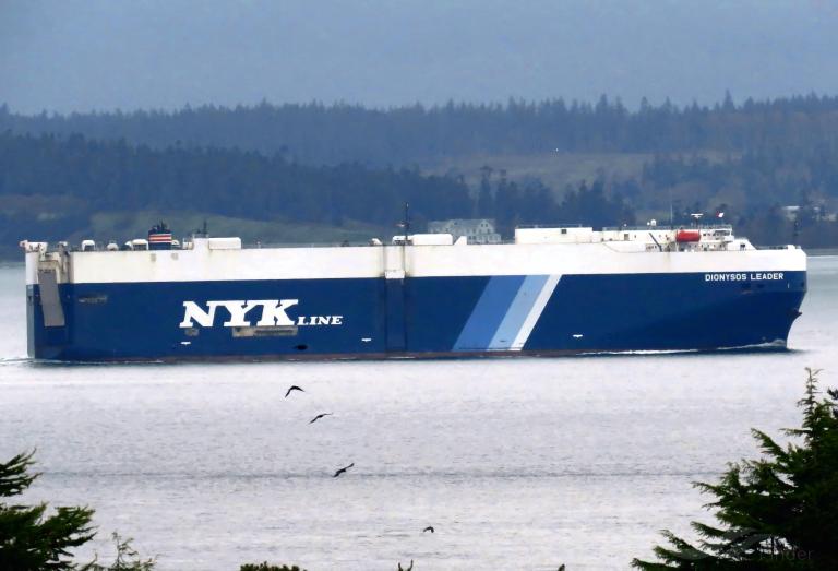 DIONYSOS LEADER photo