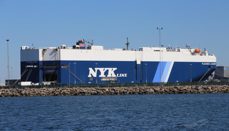 PLEIADES LEADER photo