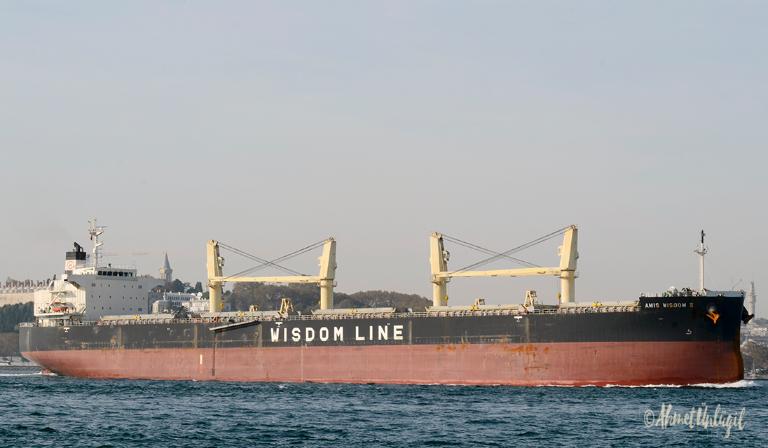 AMIS WISDOM II photo