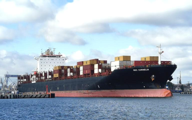 MSC CORNELIA photo