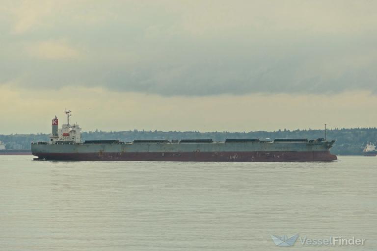 CORONA MAJESTY photo