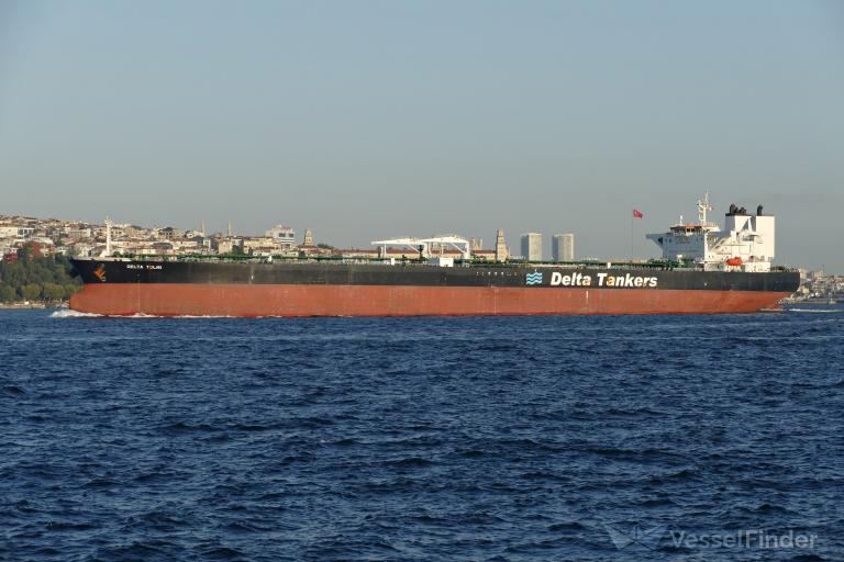 DELTA TOLMI photo