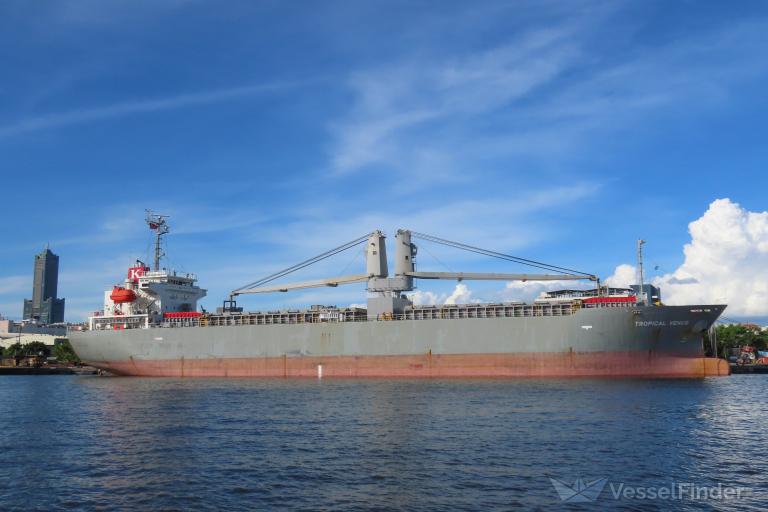 TROPICAL VENUS photo