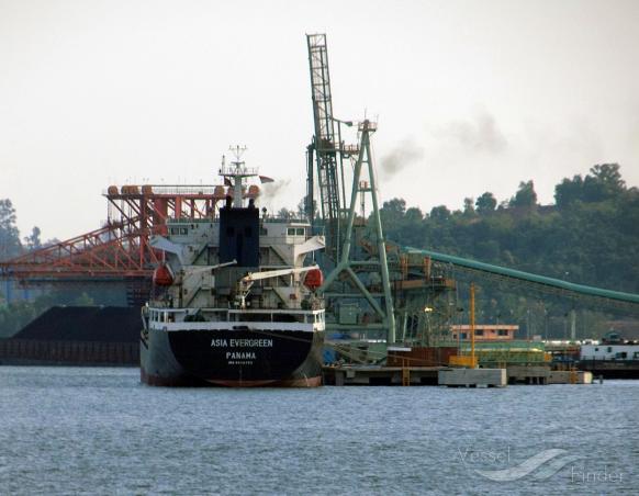 ASIA EVERGREEN photo