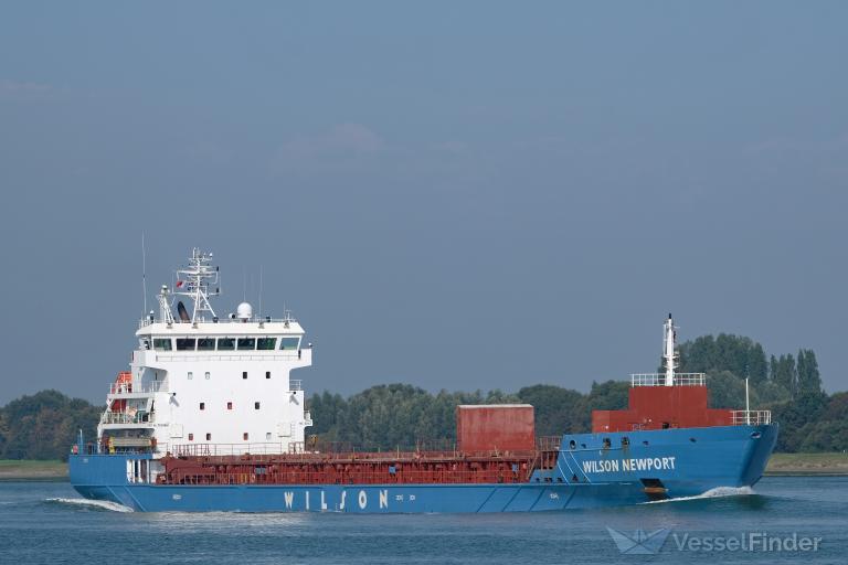 WILSON NEWPORT