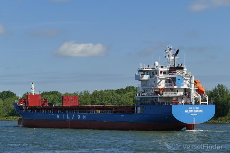 WILSON NANJING photo