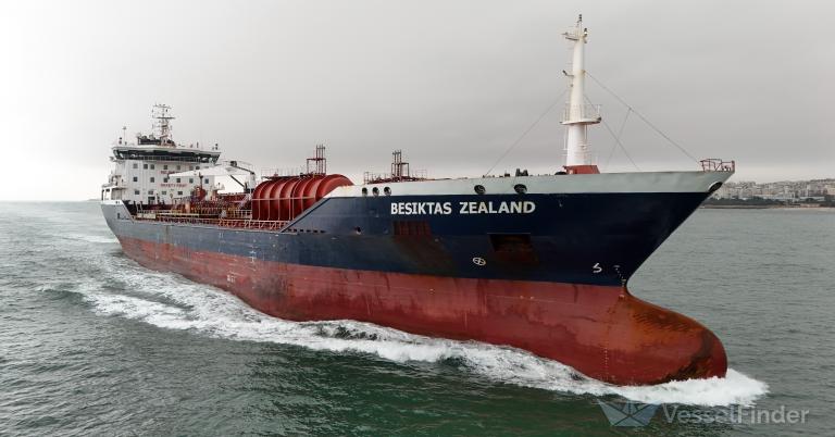 BESIKTAS ZEALAND photo