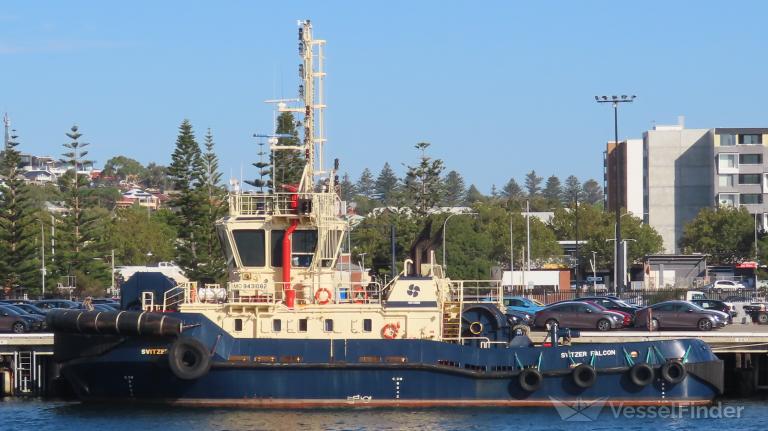 SVITZER FALCON photo