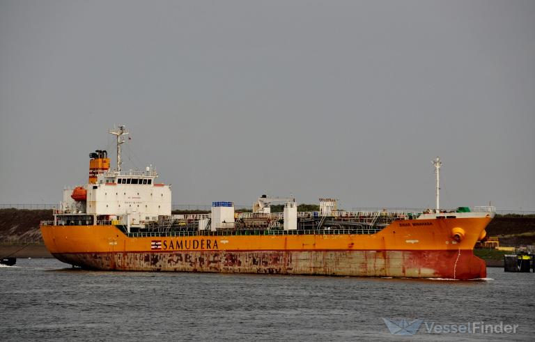 CENDRAWASIH PARADISE photo