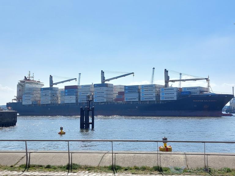 SEASPAN CALICANTO photo