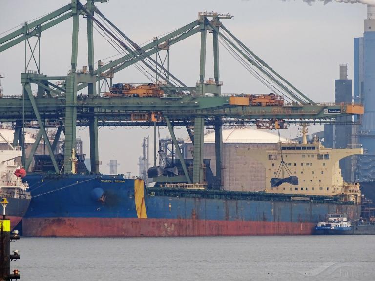 EASTERN VERONICA photo