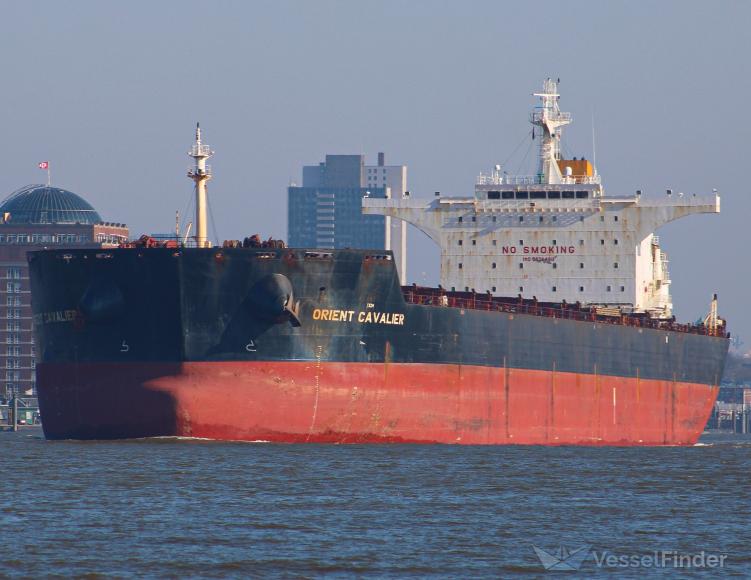 ORIENT CAVALIER photo