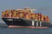 MSC-PALOMA