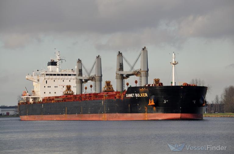 GANNET BULKER photo