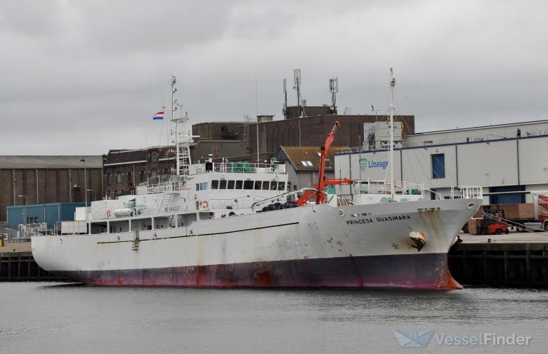 PRINCESA GUASIMARA photo