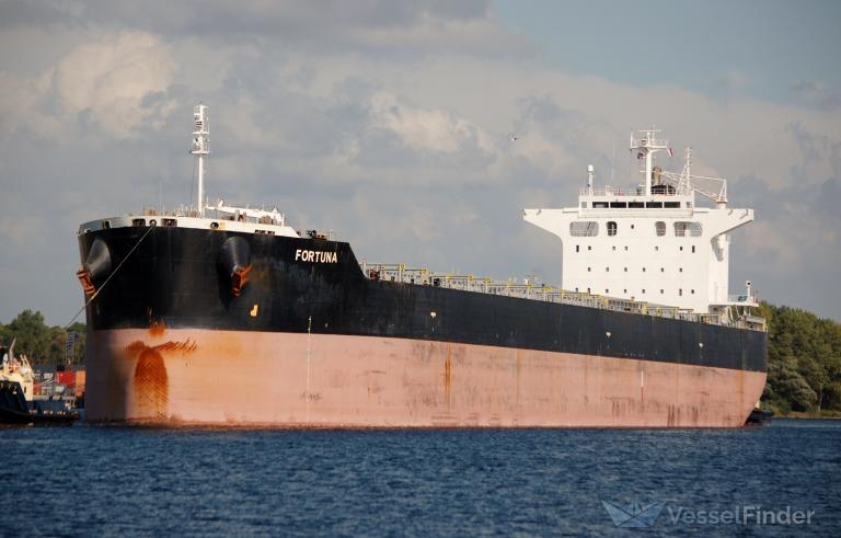 SAFEEN AL NOUR photo