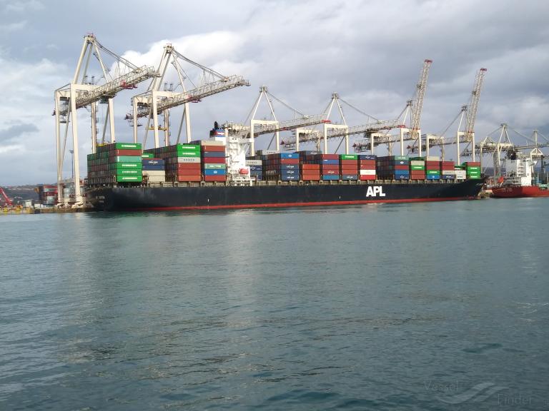 MSC DUBAI VII