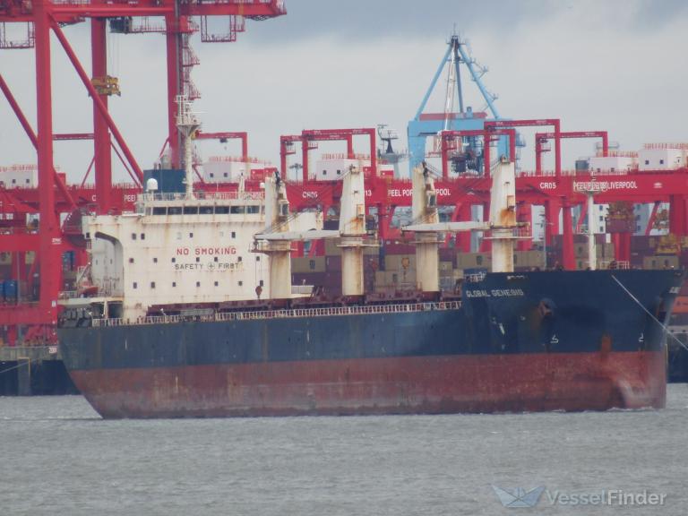 FORTUNE GENESIS photo