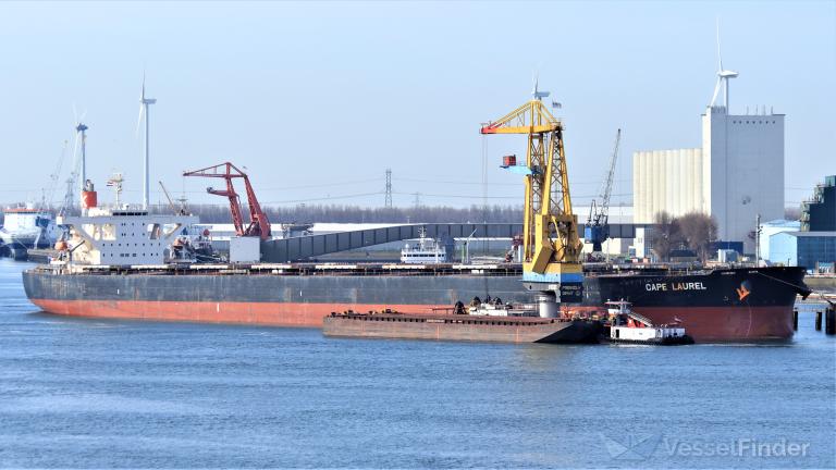 CHANG SHOU STAR photo