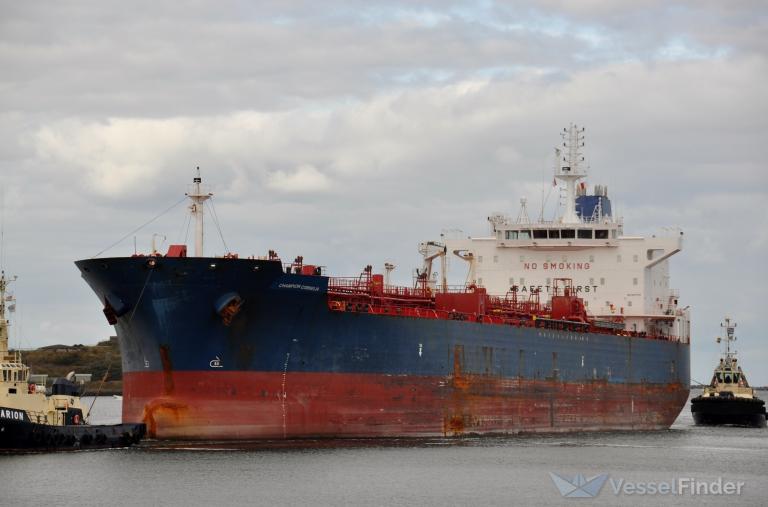 CHAMPION CORNELIA photo