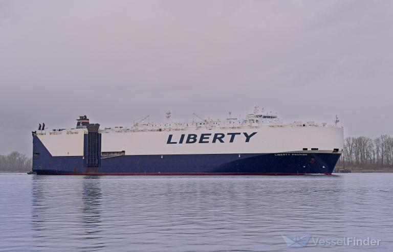 LIBERTY PROMISE photo