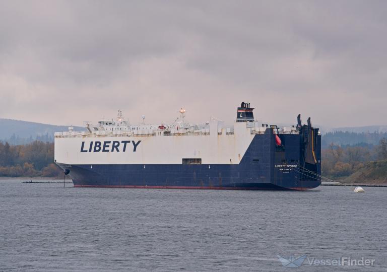 LIBERTY PROMISE