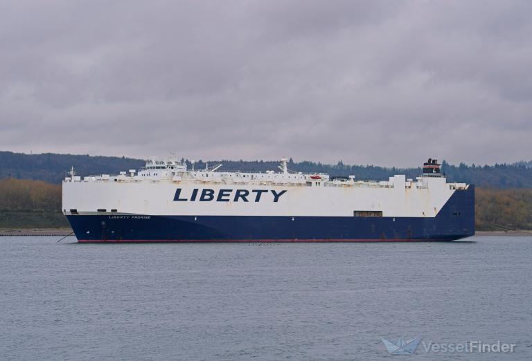 LIBERTY PROMISE