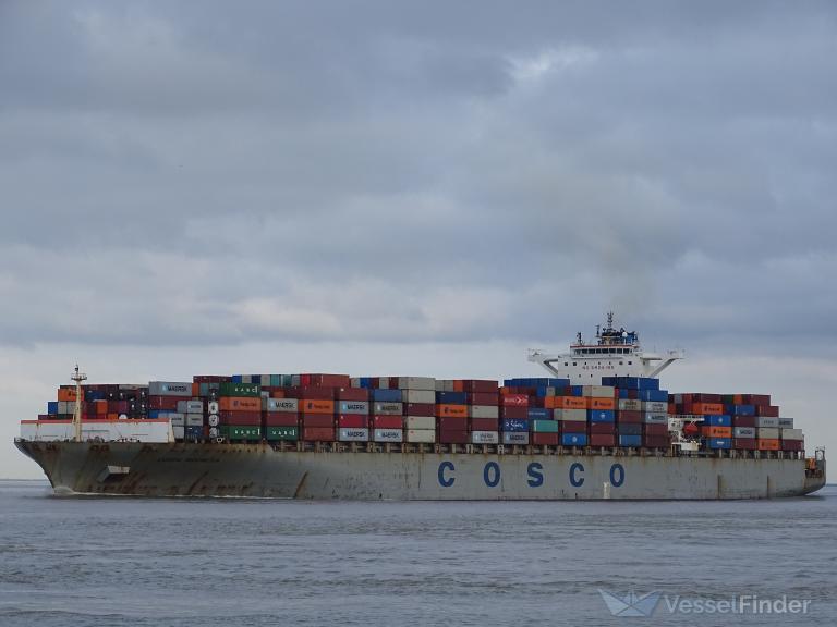 COSCO INDONESIA photo