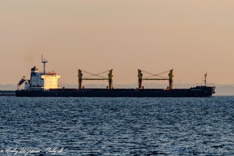 DIAMOND STAR II, Bulk Carrier - Details and current position - IMO ...