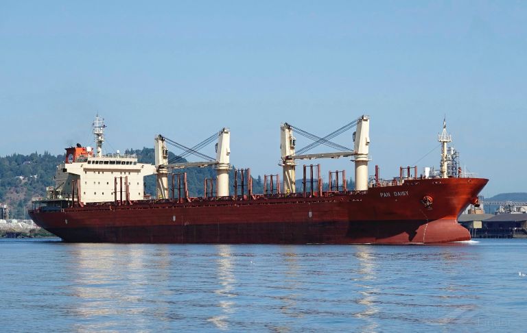 Ship WHITE IVY (Bulk Carrier) Registered in Panama - Vessel details,  Current position and Voyage information - IMO 9370393, MMSI 370126000, Call  sign 3ERP4