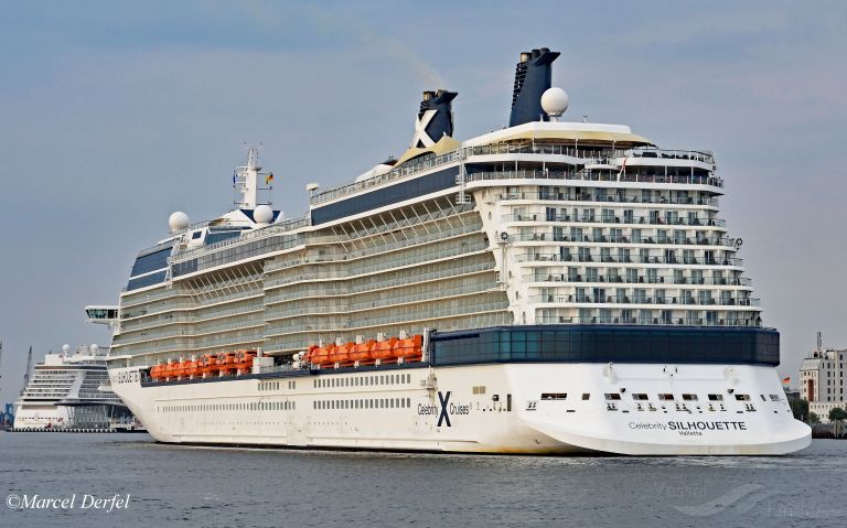 CELEBRITY SILHOUETTE