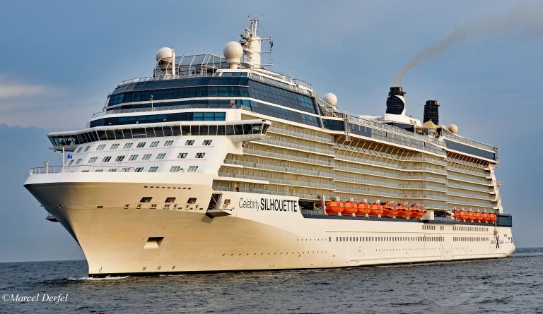 CELEBRITY SILHOUETTE