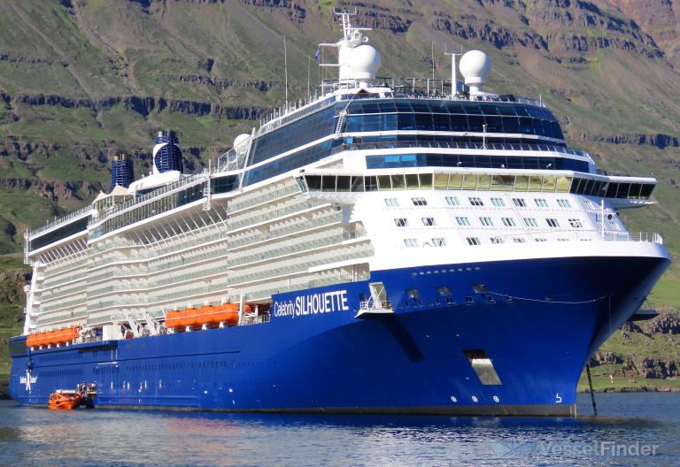 CELEBRITY SILHOUETTE photo