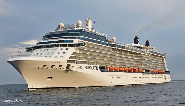 CELEBRITY SILHOUETTE