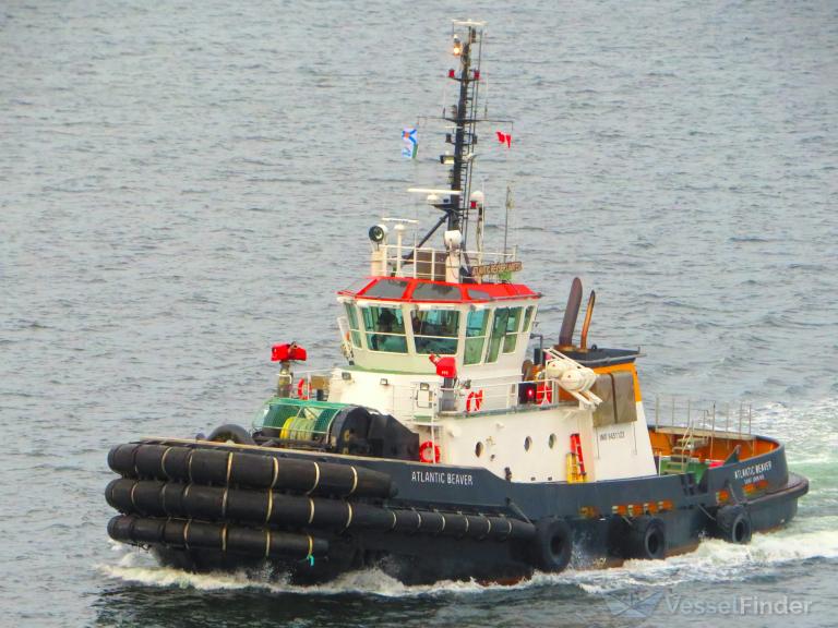 ATLANTIC BEAVER photo