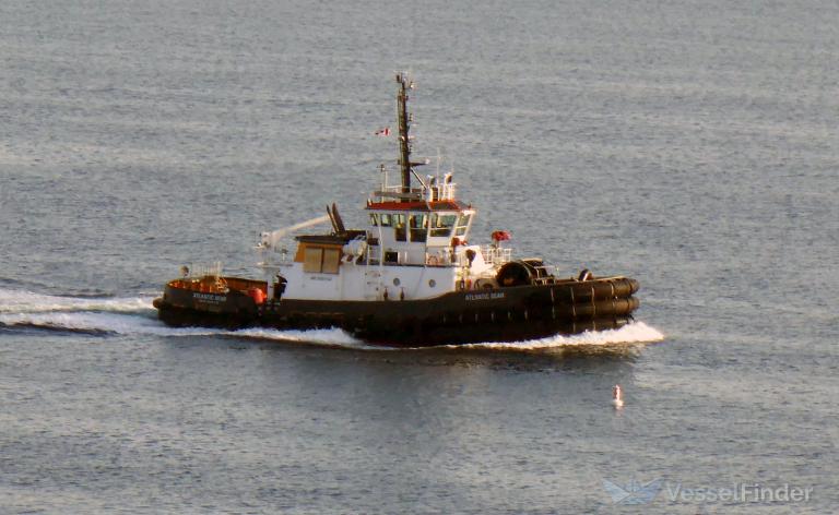 ATLANTIC BEAR photo