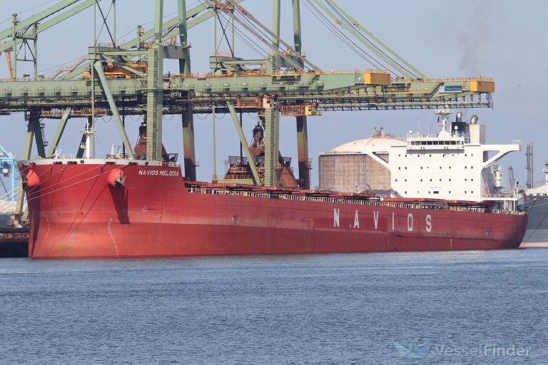 NAVIOS MELODIA photo