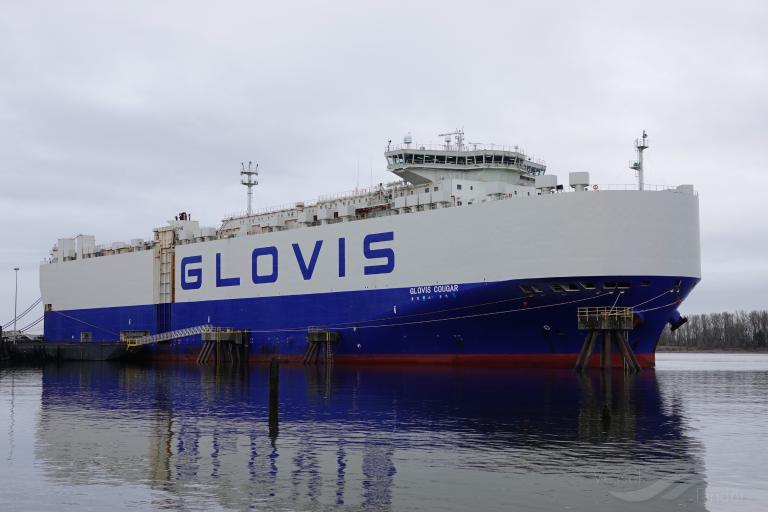 GLOVIS COUGAR photo