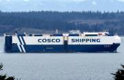 COSCO-TENGFEI