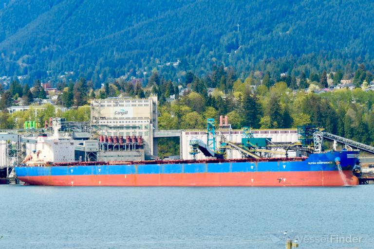 ALPHA CONFIDENCE photo