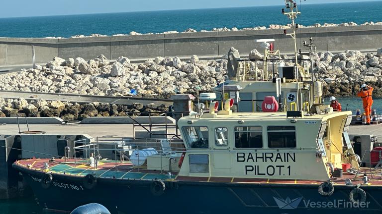 BAHRAIN PILOT 1 photo