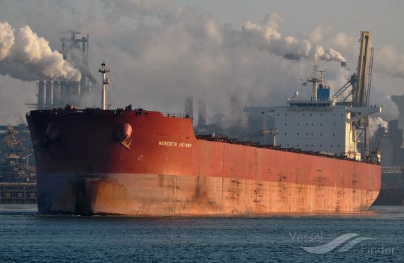 MEREDITH VICTORY photo